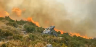 Zjarri në Dukat merr përmasa të frikshme, flakët përparojnë drejt Majës së Çikës