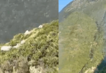 Zjarri në Palasë vihet nën kontroll, ndërhyrja e zjarrfikësve dhe helikopterëve frenon përhapjen e flakëve