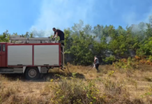 Zjarr në lagjen “Halilaj”, ndërhyrja e shpejtë shpëton banesat