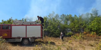 Zjarr në lagjen “Halilaj”, ndërhyrja e shpejtë shpëton banesat