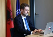 Viti i ri arsimor në Diasporë/ Hoxha: Mbi 17 mijë tekste për fëmijët, gjuha shqipe në themel të trashëgimisë
