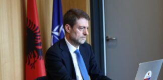 Viti i ri arsimor në Diasporë/ Hoxha: Mbi 17 mijë tekste për fëmijët, gjuha shqipe në themel të trashëgimisë