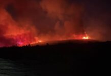 43 vatra zjarri në 24 orë, Ministria e Mbrojtjes: 10 mbeten aktive. Në Gurë-Lurë vijon operacioni më i madh