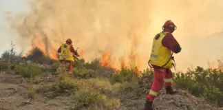 Lura digjet, Manja: Prokuroria e Dibrës të hetojë zjarrvënësit