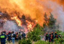 “Epidemia” e zjarreve në Greqi, mbi 300 persona të arrestuar, 36 prej tyre piromanë