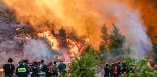 “Epidemia” e zjarreve në Greqi, mbi 300 persona të arrestuar, 36 prej tyre piromanë