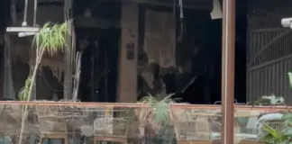 Zjarri në hotelin në Vlorë/ Operatorët turistikë solidarizohen me pushuesit e prekur, akomodim dhe veshmbathje falas