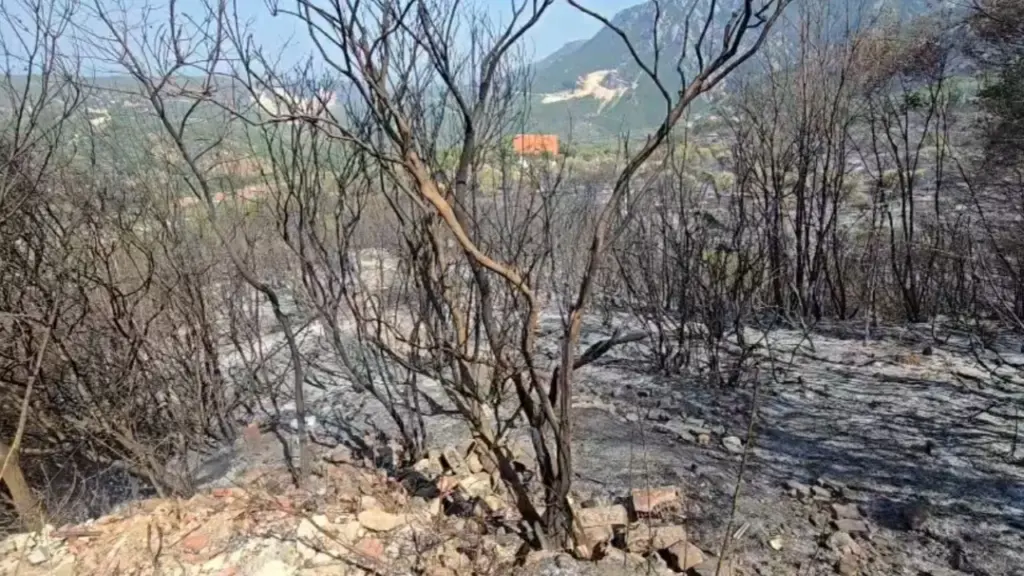Situata e zjarreve në Shqipëri  Ministria e Mbrojtjes  Disa vatra ende aktive në Tiranë  Kurbin dhe Krujë  mbi 200 forca në terren
