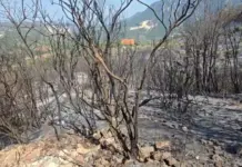 Situata e zjarreve në Shqipëri, Ministria e Mbrojtjes: Disa vatra ende aktive në Tiranë, Kurbin dhe Krujë, mbi 200 forca në terren