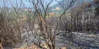 Situata e zjarreve në Shqipëri, Ministria e Mbrojtjes: Disa vatra ende aktive në Tiranë, Kurbin dhe Krujë, mbi 200 forca në terren