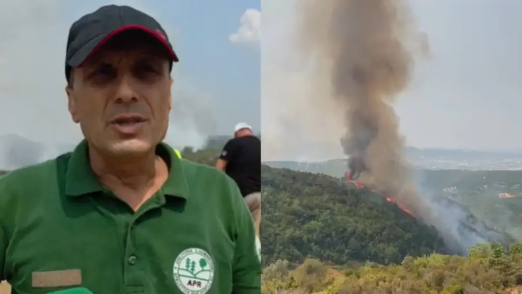 Janë djegur rreth 20 hektarë   Zjarri në 4 fshatra në juglindje të Tiranës  inspektori i APR  Shumica janë pyje  ka dëme edhe në ullishte e vreshta