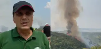 “Janë djegur rreth 20 hektarë”/ Zjarri në 4 fshatra në juglindje të Tiranës, inspektori i APR: Shumica janë pyje, ka dëme edhe në ullishte e vreshta