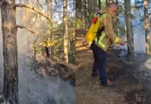 Zjarri në kurorën e gjelbër të Pukës shuhet pas disa orësh, situata kthehet në normalitet