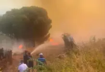 Situata me zjarret në Shqipëri/ 24 vatra gjatë ditës së sotme, 8 prej tyre aktive, Gojani zona më problematike