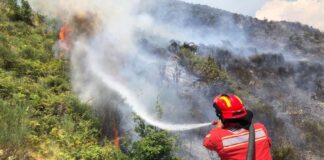 25 vatra zjarri në 24 orë, 9 ende aktive! Ministria e Mbrojtjes: Operacione intensive në disa qarqe