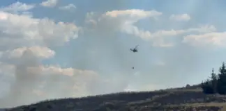 Angazhim i FA në Dajt, Mirditë e Pukë. Dhjetëra efektivë dhe helikopterë në operacionet për izolimin e vatrave, pamje nga operacionet
