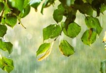Moti kthen ‘faqe’, e shtuna sjell shi e breshër! Bien temperaturat