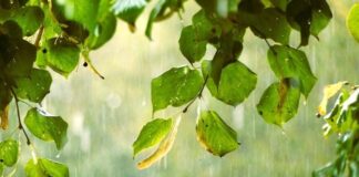Moti kthen ‘faqe’, e shtuna sjell shi e breshër! Bien temperaturat