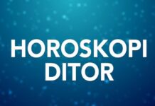 Mos harroni t’i shprehni dashurinë ‘shpirtit binjak’, kërkoni ndihmë për të shmangur mbingarkesën… mesazhi i yjeve për çdo shenjë