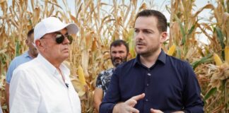 Testohen 52 hibride misri në Shkodër, Salla: Rrisim cilësinë e prodhimit