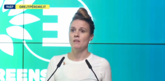 Eurodeputetja gjermane: Në PE duam që Shqipëria të jetë pjesë e BE sa më shpejt, duke garantuar standardet mjedisore dhe demokratike