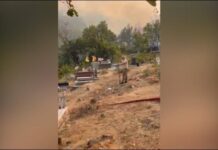 Flakët përfshinë varrezat, Pjerin Ndreu: Nuk ka vend për panik, zjarri në Rras të Lezhës u shua pa dëme serioze
