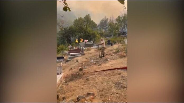 -800-0-1788801728x1788799645-zjarrnevarreza-647