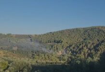 Pas ndërhyrjes nga ajri, zjarret në Fier nën kontroll, mbetet vetëm një vatër aktive në Frakull
