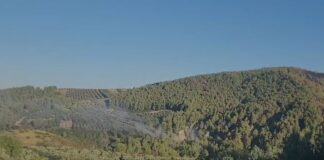 Pas ndërhyrjes nga ajri, zjarret në Fier nën kontroll, mbetet vetëm një vatër aktive në Frakull