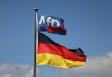 Trump përshëndet fitoren e AfD-së në Gjermani