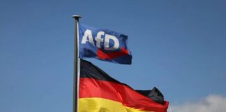 Trump përshëndet fitoren e AfD-së në Gjermani