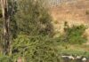 Pastrohet një tjetër pikë problematike në Lumin e Tiranës