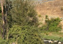 Pastrohet një tjetër pikë problematike në Lumin e Tiranës
