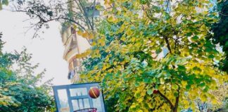 Historia e Shoqata Studenti Basket femra
