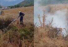 Zjarri përfshin shkurret pranë Taroninës në Gjirokastër, ndërhyrja e shpejtë e zjarrfikësve parandalon përhapjen