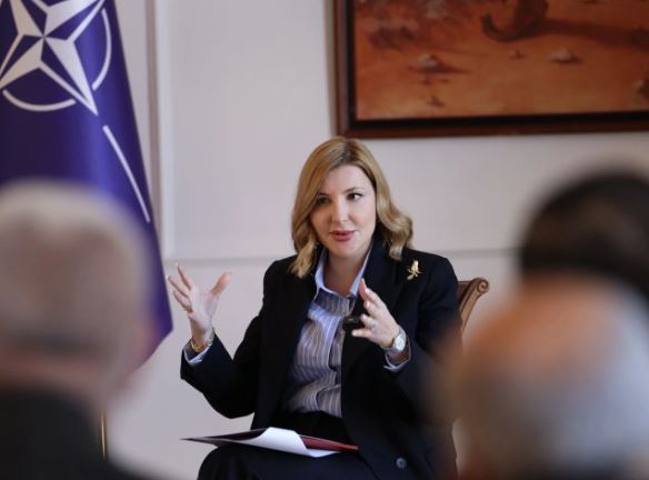 KAYO dhe partneritetet me privatët  zv ministrja e Mbrojtjes  U krijua për nevojat e Shqipërisë  akuzat të verifikohen