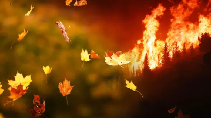 autumn_leaves_into_wildfire_1684226748_1346975477-1024x683_sd