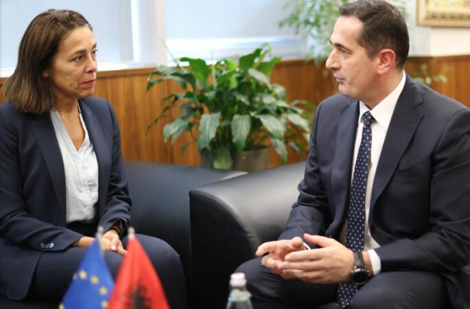 Ambasadorja e BE në Tiranë shkon në zyrën e Klodian Brahos  zbulohet fokusi i bisedës