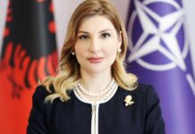 Zv/Ministrja e Mbrojtjes Abrazhda: Industria e mbrojtjes nuk ndërtohet brenda natës, para produktit ndërtohet kapaciteti