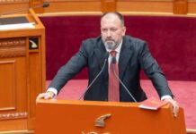 Mazniku i përgjigjet Braçes: Lushnja kryen funksione që Divjaka nuk i bën