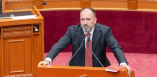 Mazniku i përgjigjet Braçes: Lushnja kryen funksione që Divjaka nuk i bën