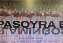 Prezantohet ‘Flamingo Mirror’, publikohen dokumentet për Sazanin dhe Zvërnecin! Rama: Së shpejti ‘dosja’ e Kayo