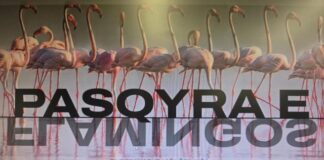 Prezantohet ‘Flamingo Mirror’, publikohen dokumentet për Sazanin dhe Zvërnecin! Rama: Së shpejti ‘dosja’ e Kayo