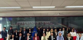 Mazniku: Asnjë bashki nuk do “shkrihet”, kemi vetëm bashkim me reformën territoriale