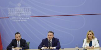 Demo prezanton ekipin e ri për pushtetin vendor: Fokus te reformat, Kapitulli 22 dhe shërbimet ndaj qytetarëve