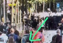 “Student është ky apo dhëndri i bufit?!”, Balla publikon pamjet nga protesta dhe nxjerr Jamarbër Malltezin