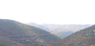 Kolonja turistike çdo vit tërheq gjithnjë e më shumë vizitorë të huaj