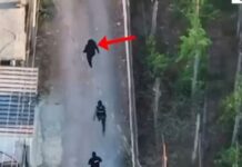 Qarkullonte i armatosur tentoi arratisjen duke përplasur makinën e Policisë, kapet pas ndjekjes 27-vjeçarin në Kurbin!