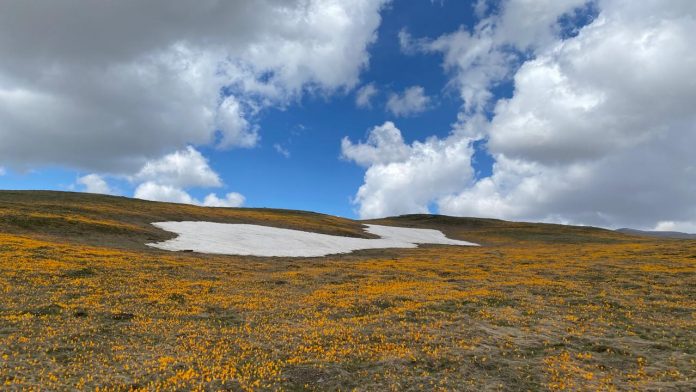 Kushte atmosferike të qendrueshme  Parashikimi i motit për sot  6 tetor 2026