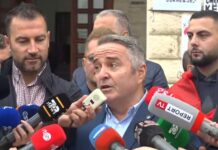 Intelektuali që do një protestë të revoltuar, por dhe të pavotuar